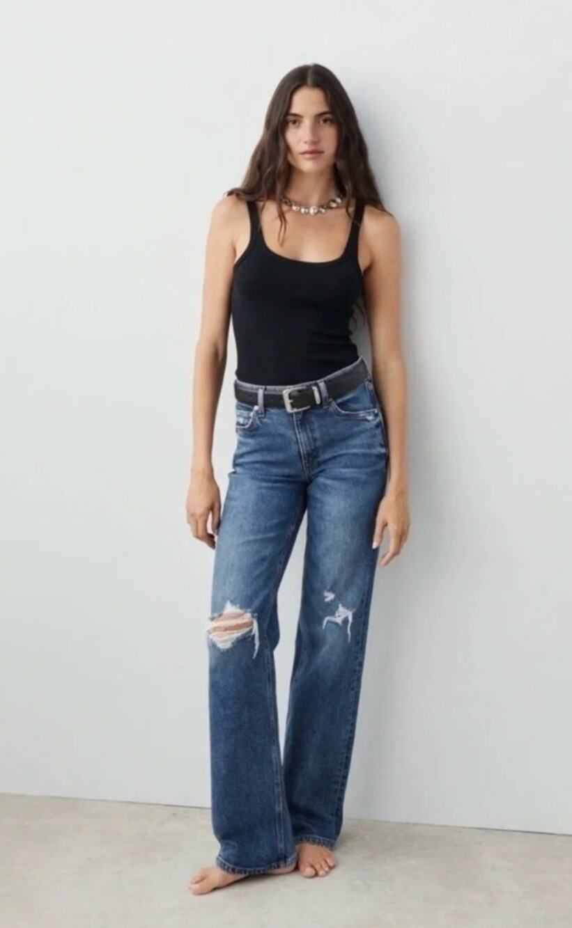 Ayr Jeans 29S The Secret Sauce Distressed Wide Leg High Rise Medium Blue Chic